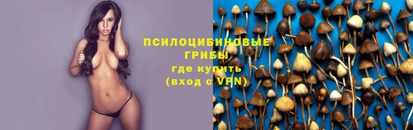мдма Пролетарск