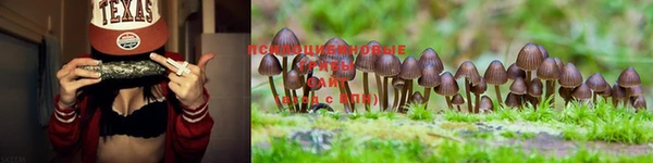 прущие крисы Баксан