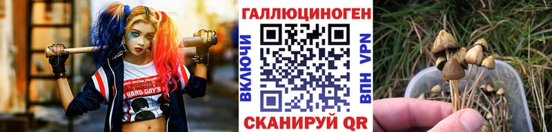 Галлюциногенные грибы мицелий  Шелехов 
